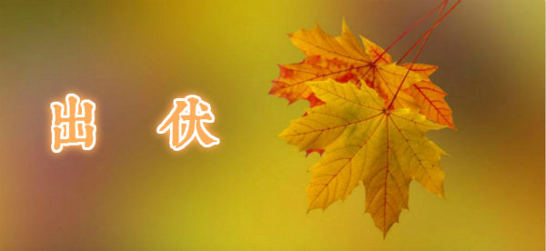 青蓝中医健康|一出伏就迎来最凶险的34天！出伏养生要做好一“通”四“防”！