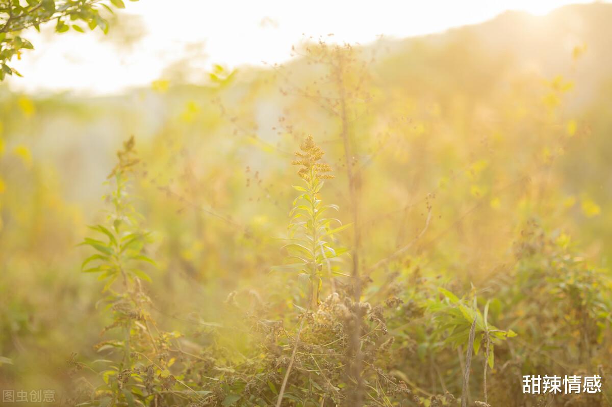甜辣情感|我不过和游泳教练学游泳,却没想到家没了,老公为何如此小心眼