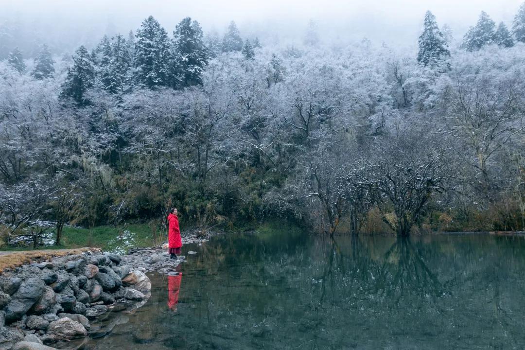 汶川|冰雪映彩林！这个冬日，汶川给你点颜色瞧瞧！