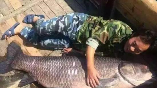 花鲢|300斤的鳙鱼,400斤的青鱼,“四大家鱼”到底能长多大?