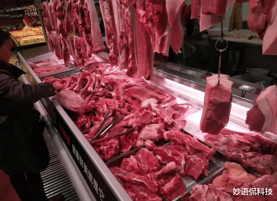 美团 猪价重回10元时代，老百姓却不愿买了，啥情况？专家说出实情