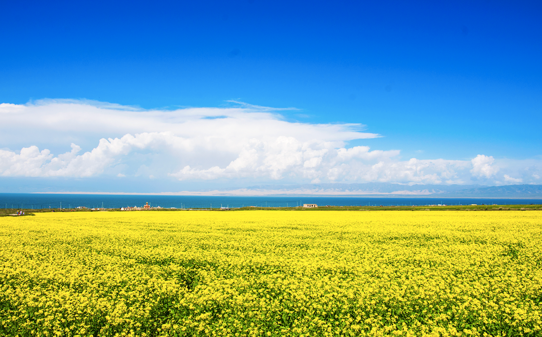 西宁|被预言下一个“瑞士”，这个夏日均温20°C的宝藏地，刘昊然都来打卡！