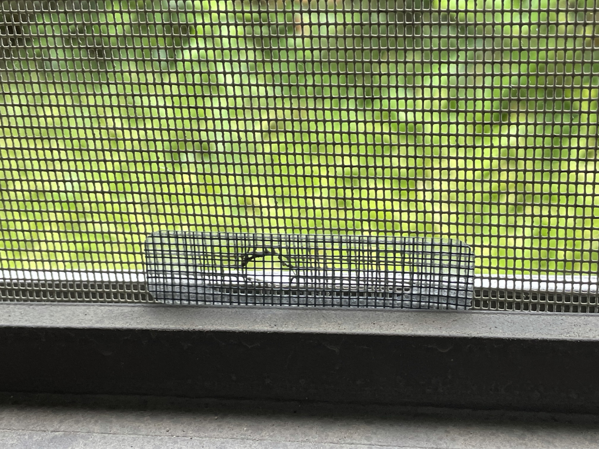 |这15个奇怪的家居物件，究竟是啥？一眼认出5个以上，算你有见识