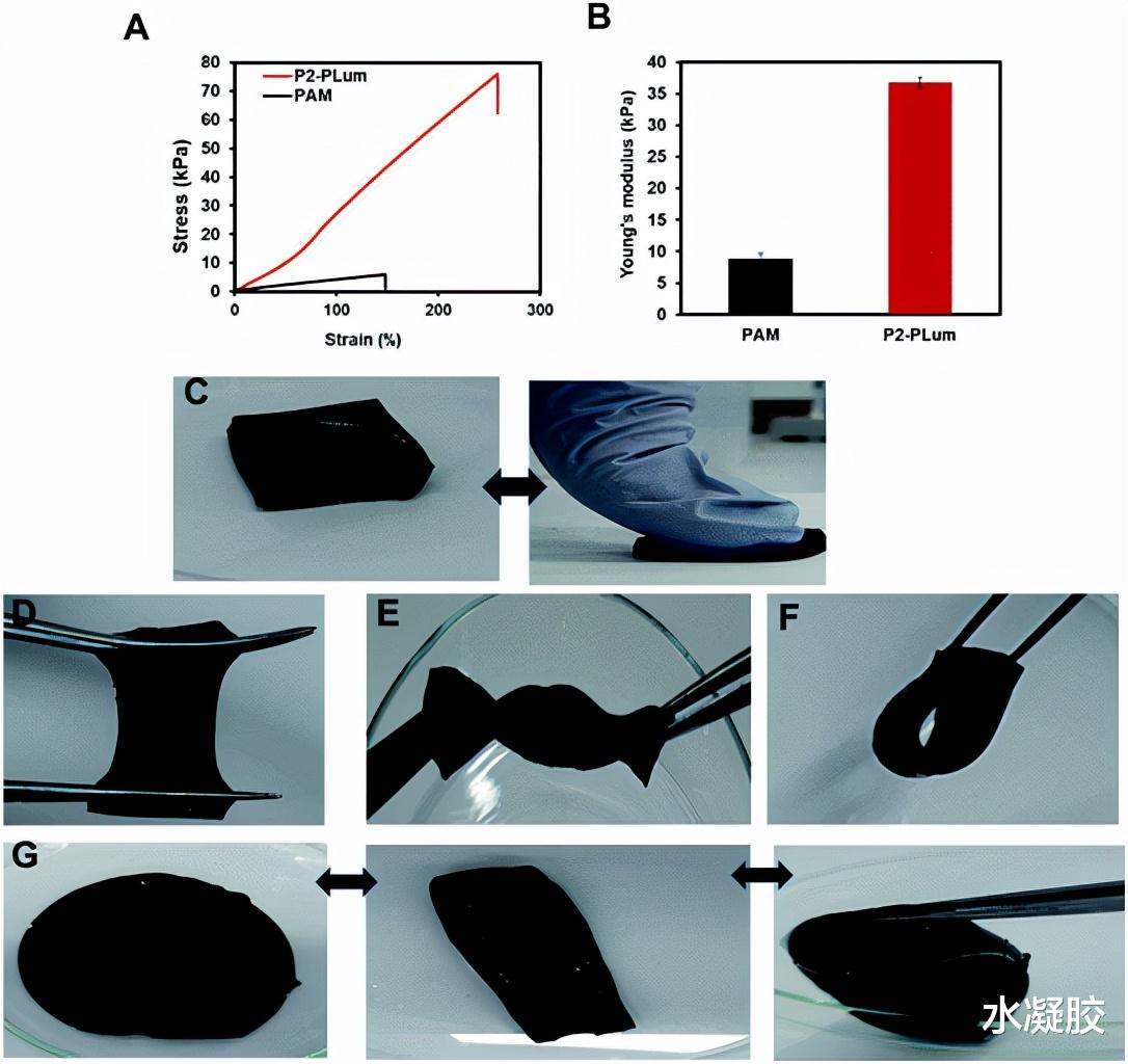 靶向治疗 聚鲁米诺-多金属氧酸盐混合水凝胶作为柔性超级电容器电极