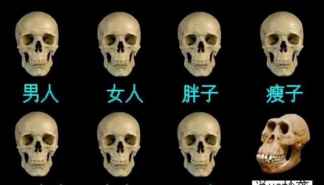 我的世界|我的世界:一票而已,影响不大,MC玩家的投票心理,你中了吗?