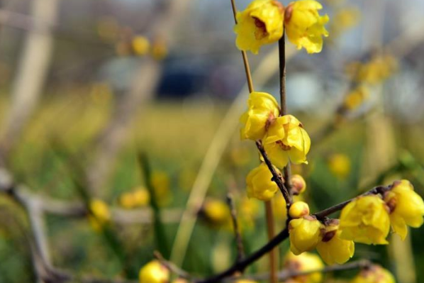 生肖|4月28日到5月4日，运势财源两旺，接连遇贵人的三个生肖