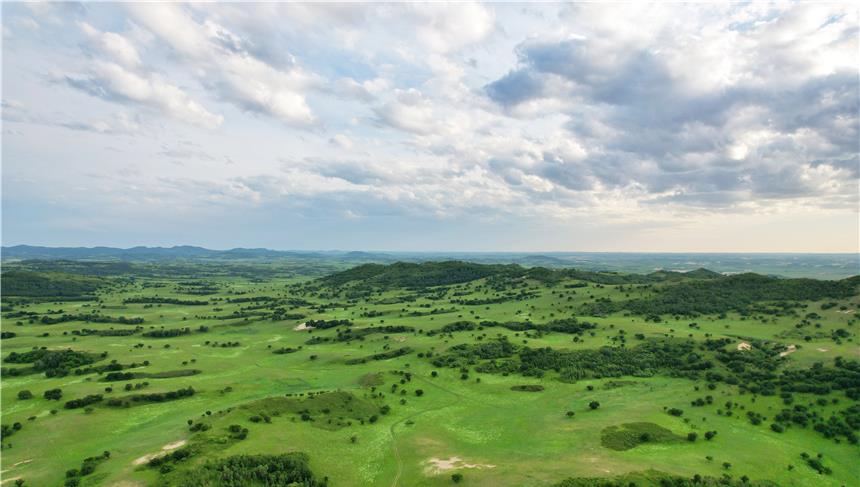琳妹儿说|夏天避暑目的地首选，内蒙这个草原牧场很凉爽，和梅花鹿羊驼嬉戏