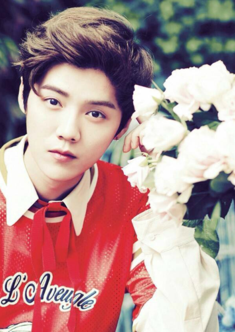 亮剑|微博评论过亿，如今烂片不断，一年只录一档综艺，鹿晗真的糊了？