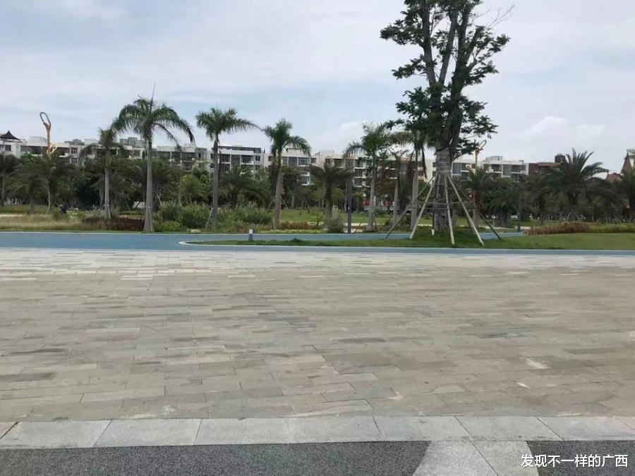 住房公积金|北海银滩景区旁的56.8亩黄金地块被拍卖，仅2462.8万元起