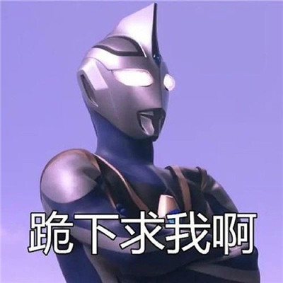 桉月|表情包：斗图表情包可爱合集
