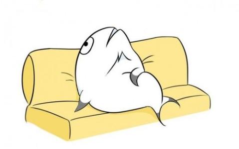 怪才涂:通过折腾,负债40万的他又要翻身了