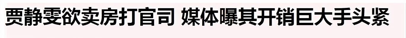 贾静雯|贾静雯:41岁二婚嫁小9岁小丈夫,如今婚姻状况如何?