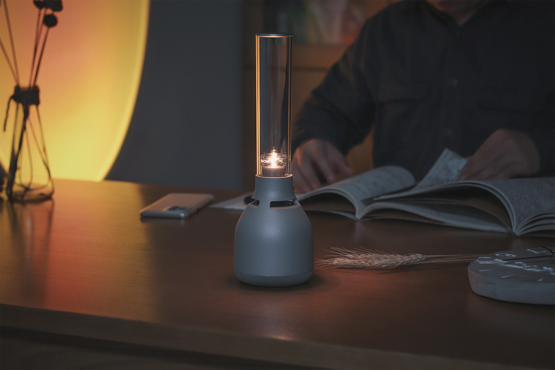 索尼|让音乐更有温度，让生活更有追求 | 索尼（SONY）LSPX-S3 晶雅音管