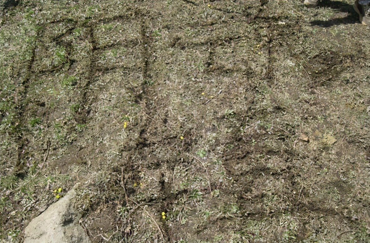 阴魂镇 辽宁的一小镇，它的存在连本地人都不知道，却靠名字吓坏许多人