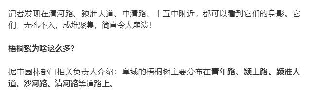 阜阳那些事 刚刚！颍淮大道拍下，遍地都是