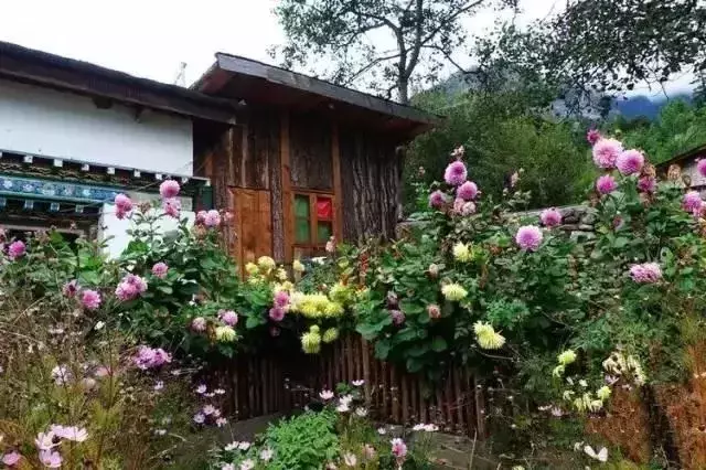 |乡村小院，装满生活的理想!