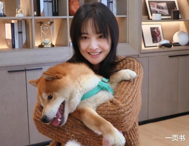 张若昀|张若昀起诉父亲张健，继郑爽后又一大瓜，观众担心《雪中悍刀行》