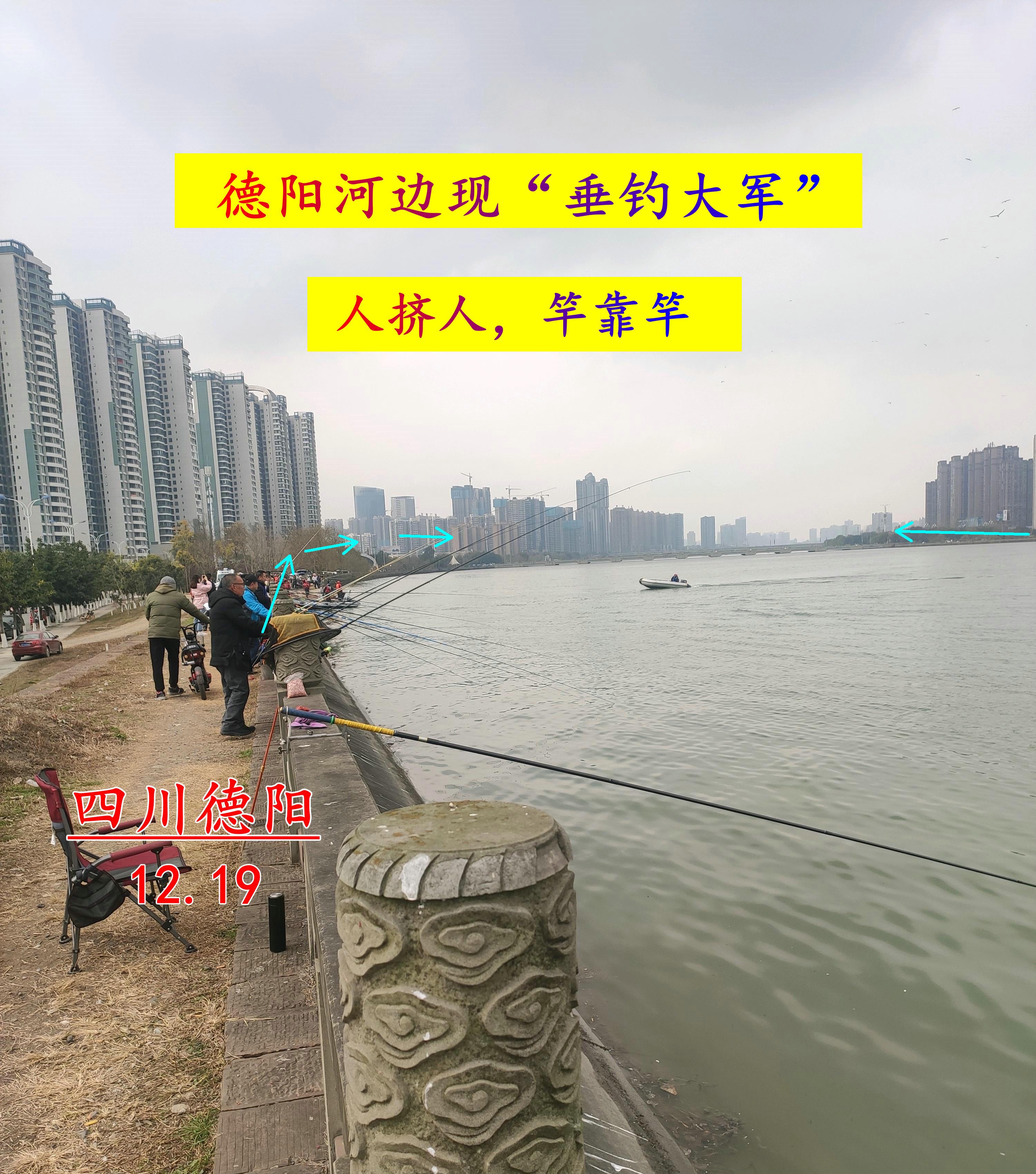 两只老虎|大场面！四川德阳一两百人聚集河边日夜垂钓，网友：鱼要被钓光