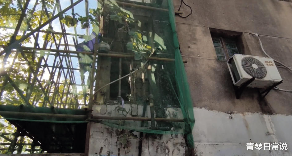 青琴日常说 上海“倔强”的钉子户，当初“非1个亿不拆”，如今被工地包围