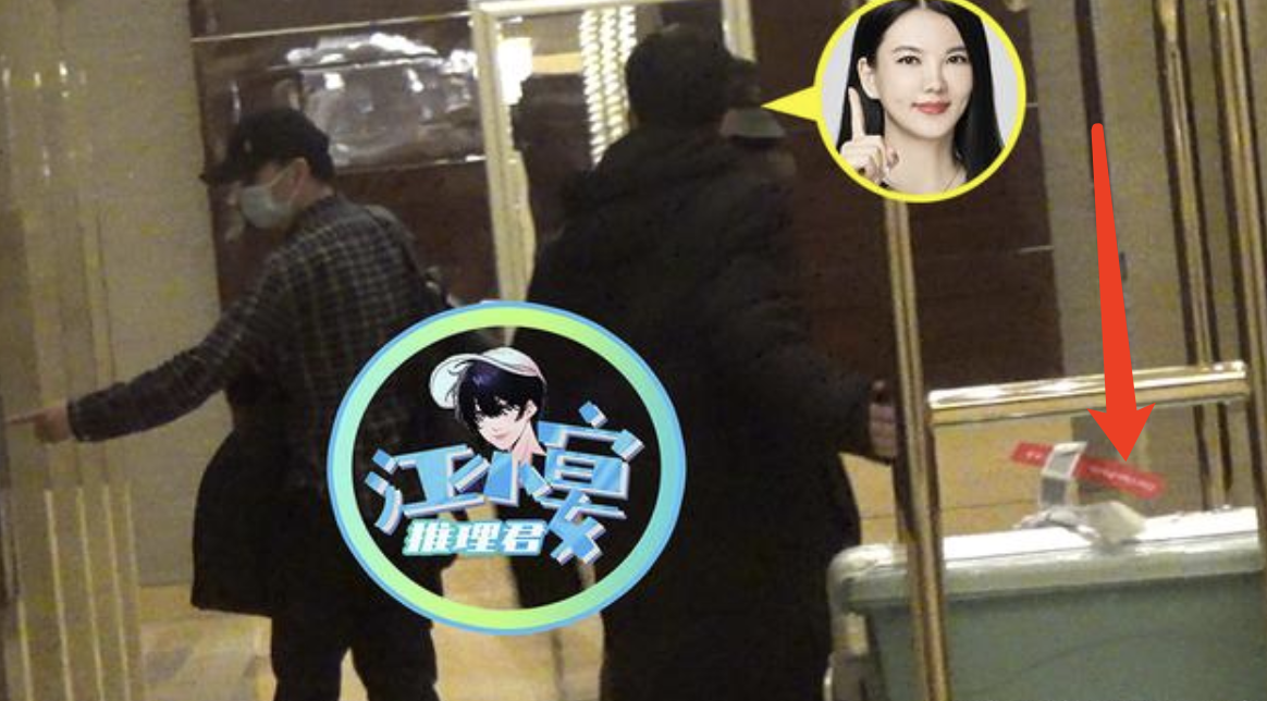 李湘|李湘和男子再被拍，两人从女方别墅前往酒店，推行李箱收纳箱入住
