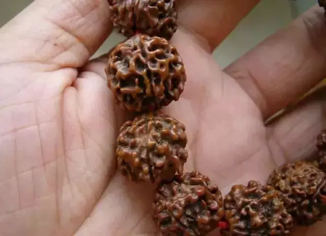 铜币|你的金刚菩提该刷了，别只知道用力撸，不刷撸秃噜了皮都不行