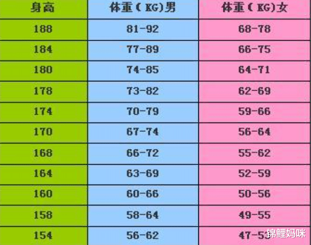 |18年前的“网红小胖”，为爱减肥娶妻生女，如今他怎样了？