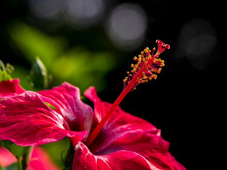 星临天下|下个月，吉星伴身，4属相八方来财，添丁添财，生活顺风顺水