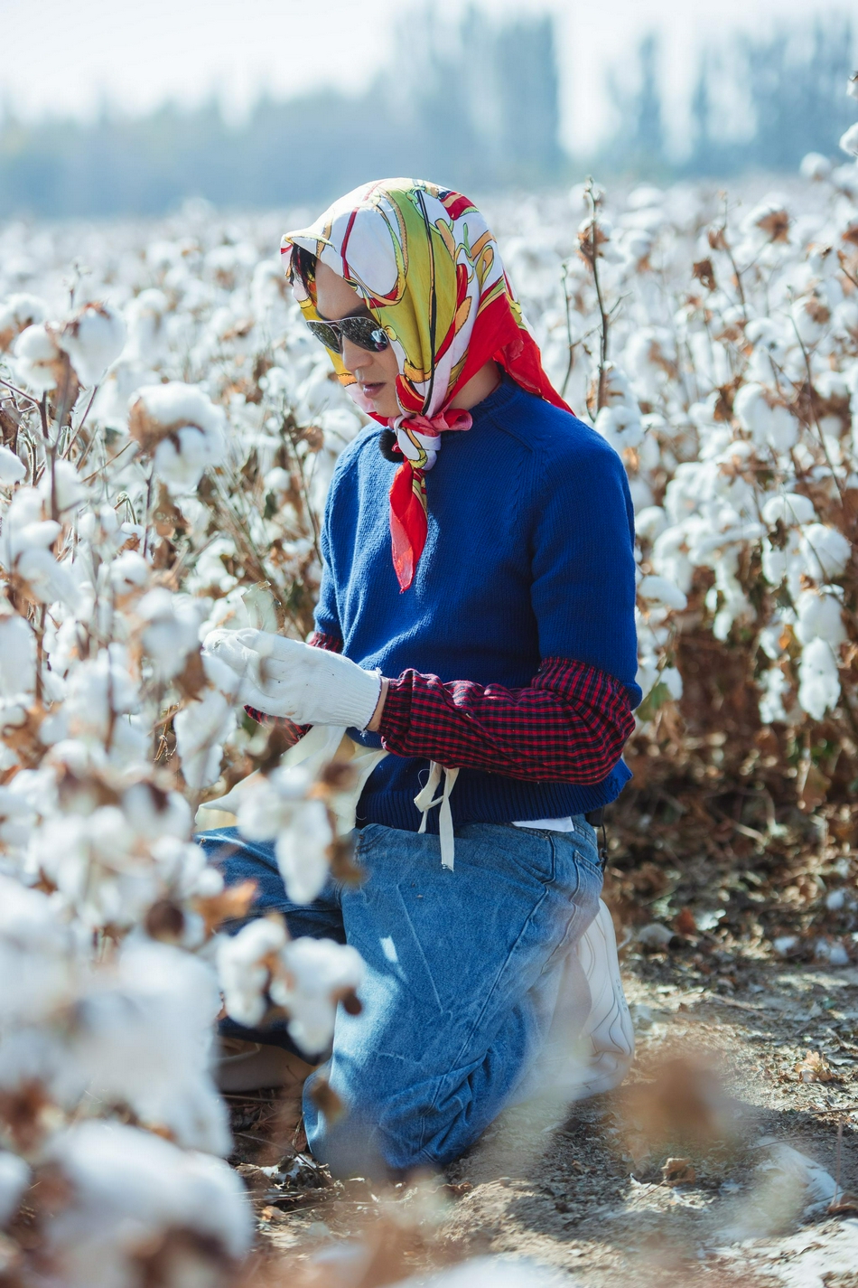 张智霖|袁咏仪调侃张智霖和儿子是狼外婆和小红帽，为芒果台新综艺打call