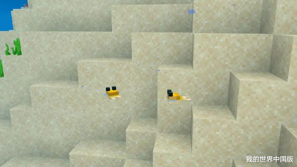 鳊鱼|水底究竟有多少种鱼？《我的世界》全自动钓鱼机 让你见识全鱼宴