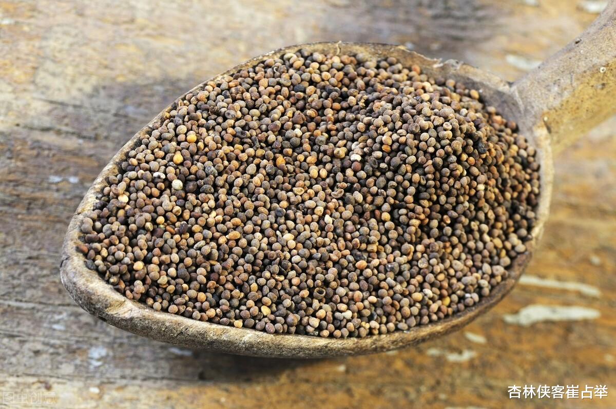 新型冠状肺炎|阴阳两虚？只需一味药，阴阳双补，肝肾同调，提高你的免疫力