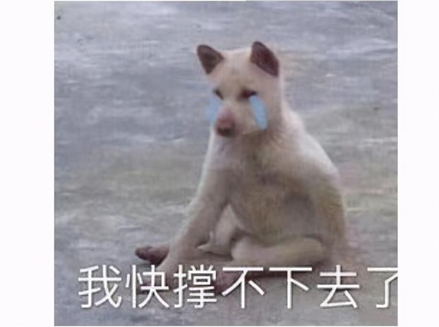 暴雪|中国大佬太厉害,发明奇葩战术无人能敌,暴雪因此被迫改设定