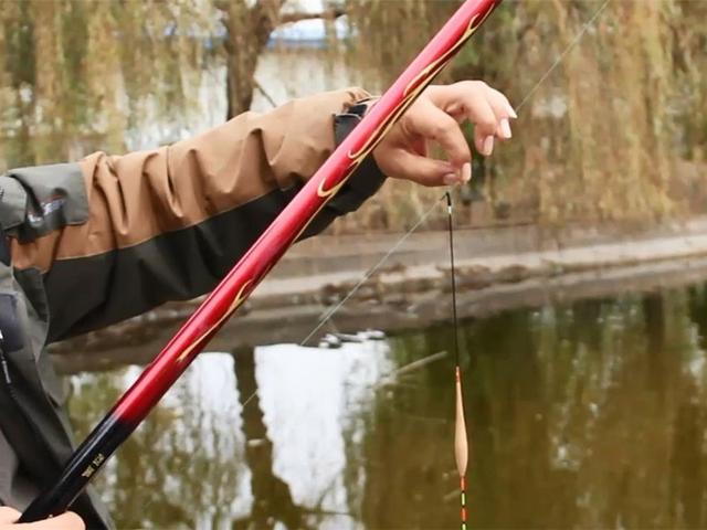 |野钓不要太纠结调目和钓目，自己能看懂就好，抓口技巧分享