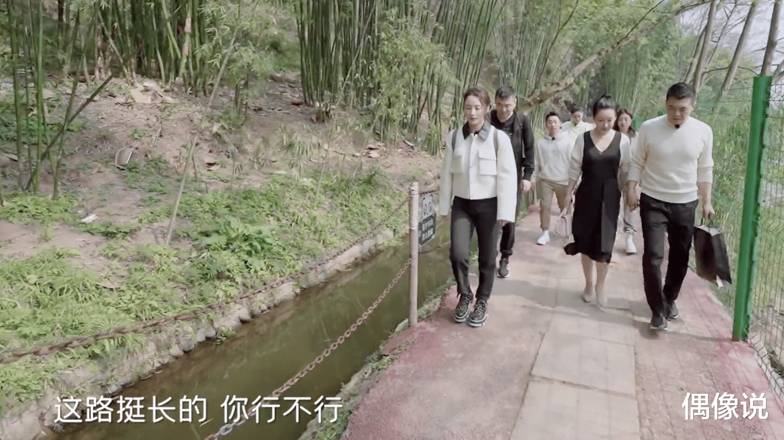 秦海璐|秦海璐和王新军手拉手爬山，老公全程提鞋，蒋勤勤牵手被甩差距大