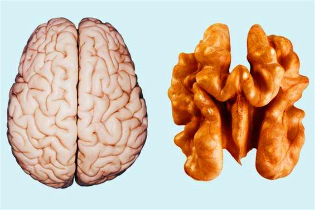 腺病毒 “吃啥补啥”有作用吗？最新科学研究结果，推翻了以往的说法！