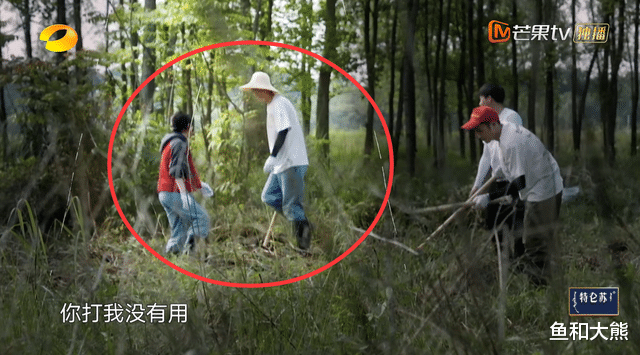 黄磊|张子枫与梁靖康互动不避嫌，彭昱畅故意拱火，差点让黄磊下不了台