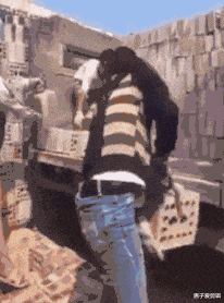 装修的时候做了个榻榻米，两年不到成这样子了，又要花钱了