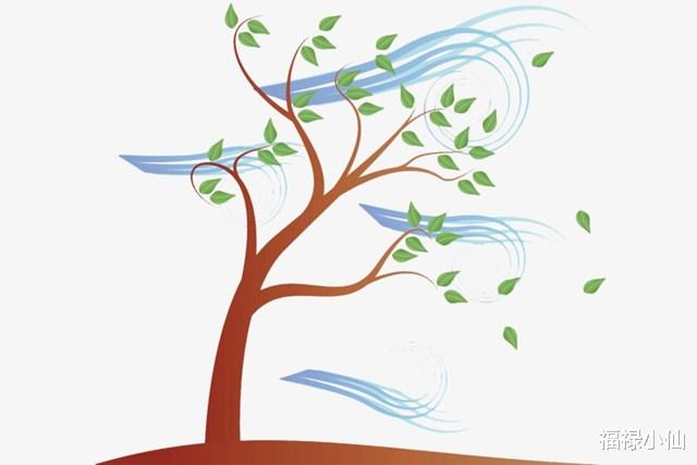 福禄小仙|7月底逆风翻盘的3生肖，多加努力，稍加等待，就可大显身手，志者事竟成也！