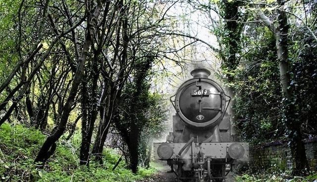 科学家 数年前，“幽灵列车”带104人消失，科学家调查也失踪，怎么回事