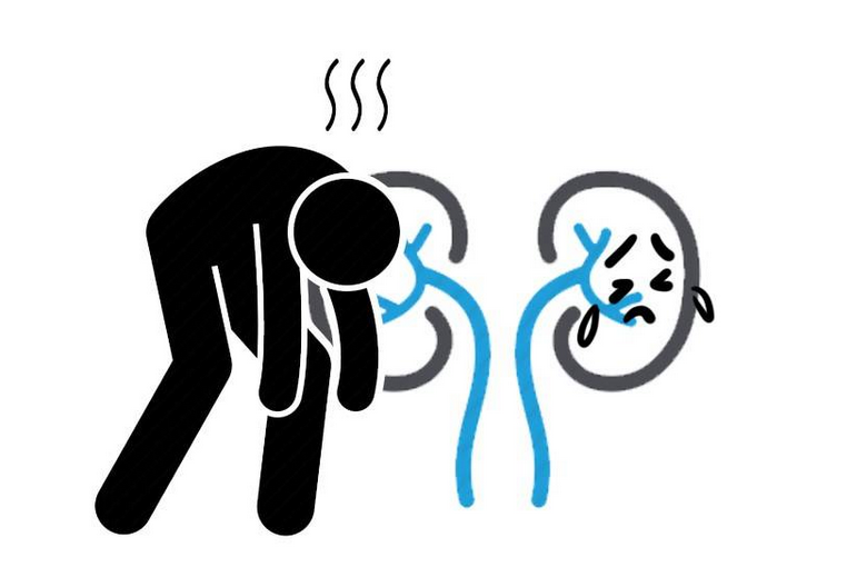 补肾|肾不好百病生？提醒：日常多吃这4种食物，补肾强肾、增强免疫力