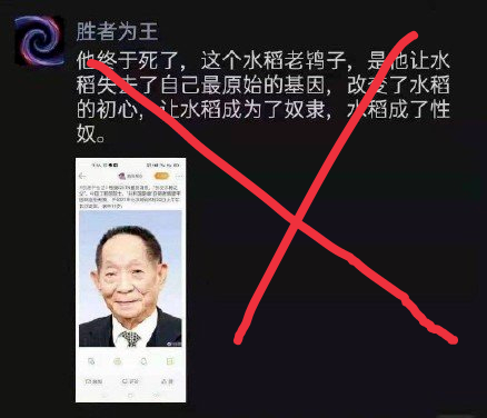 娱sir 看完这些“小丑”对袁隆平的评价，我怒了……