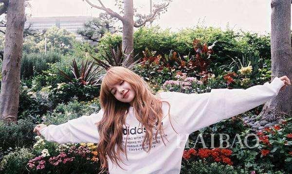 电视剧|泰国有哪些高颜值女星