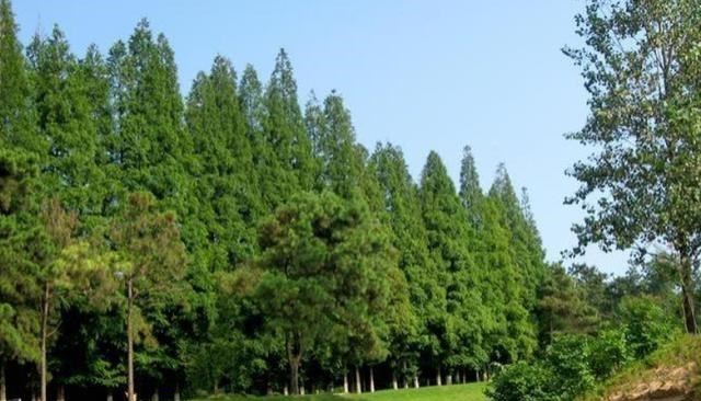 咸阳 河南景区被国家旅游局摘牌，曾日均游客3万，现免门票却鲜有人去