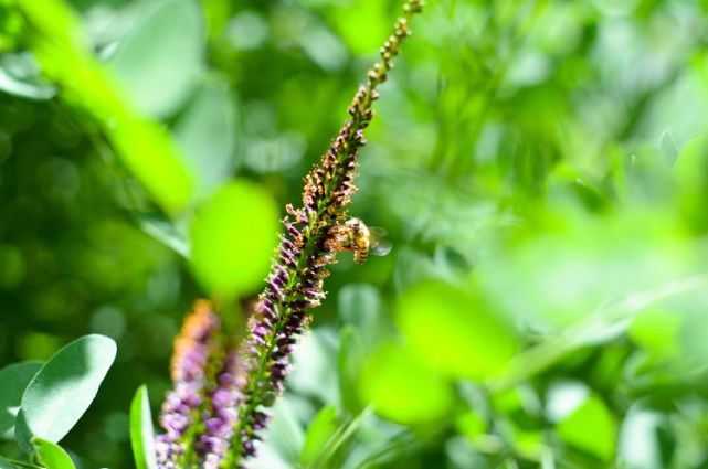 福建省|福星加持3生肖,5月上旬起运势开绿灯,事业遇伯乐,赚到大桶金