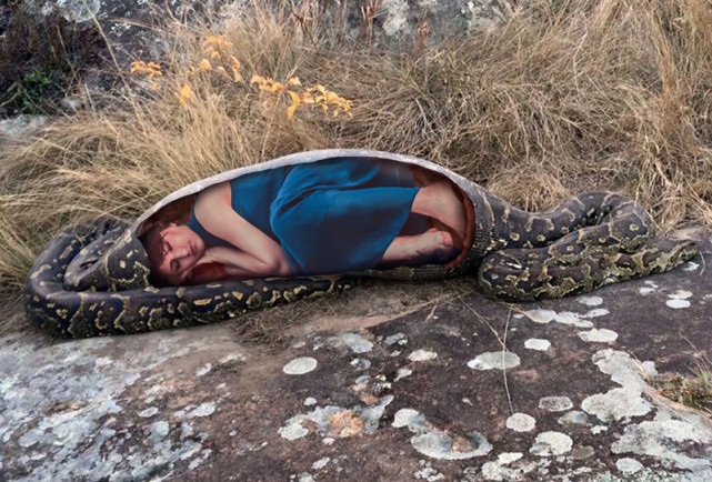 巨蟒 进了巨蟒肚子还能活着出来吗?在野外遭到巨蟒袭击该如何应对?