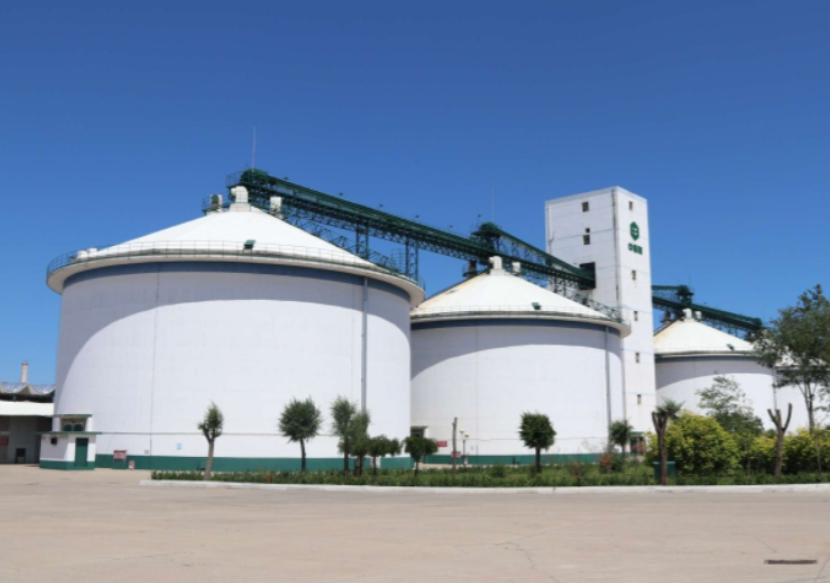 求职|不用再羡慕本科生了,中储粮面向社会公开招聘,学历宽限低至大专