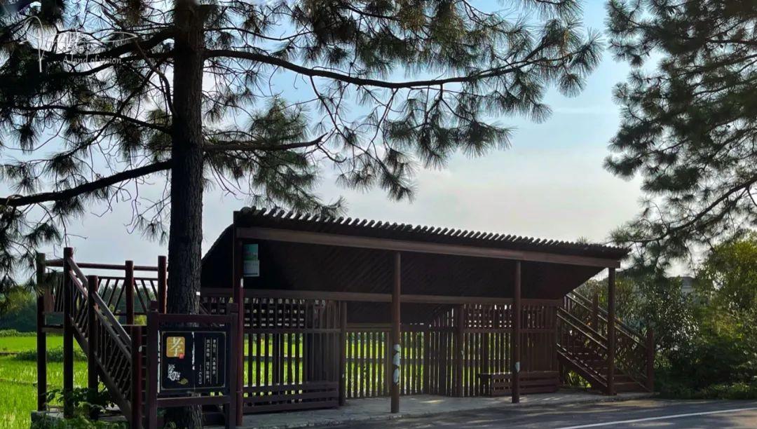 行星秘闻|杭州有两个“别具匠心”的公交车站，自带观景平台，风景如斯