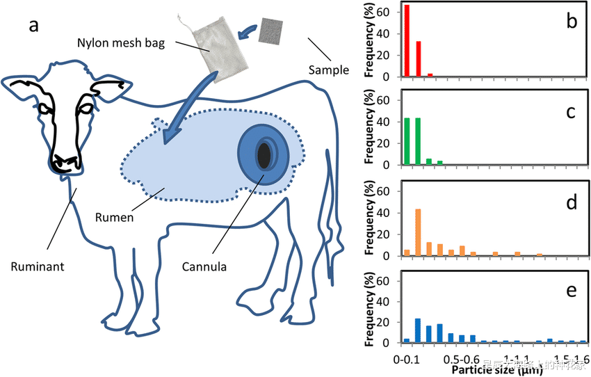 微生物 为什么在牛身上挖个洞，还常常用手去掏？难道它们不会痛吗？