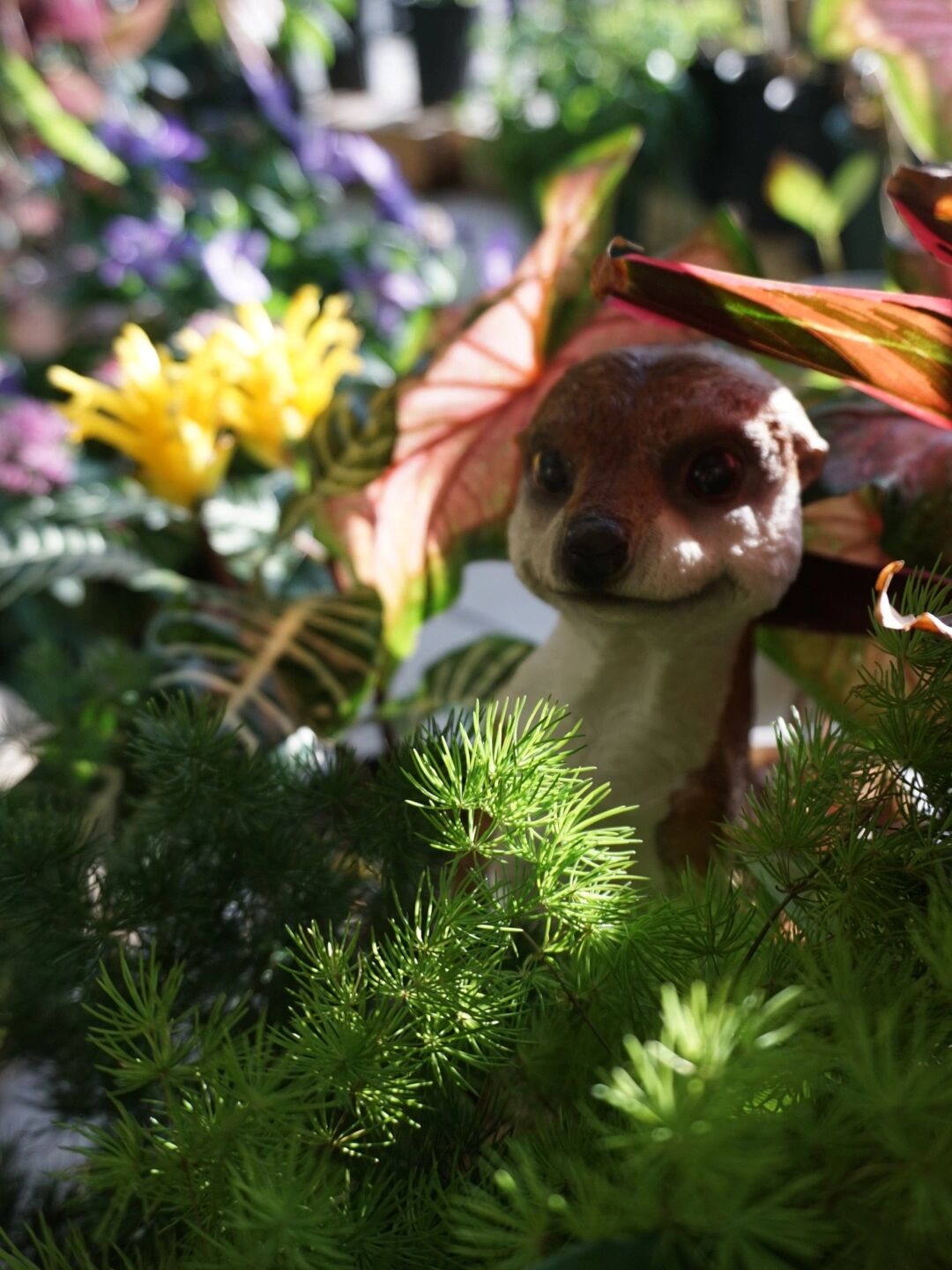 12㎡小阳台“造花园”,光照不足2小时的阳台,也能美成仙境!