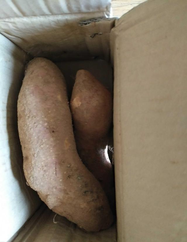 红薯不好保存？巧用这3个保存方法，放一年都不坏，越放越好吃