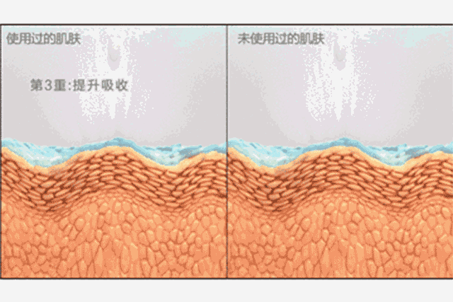 韩雪|大S亲手剪掉肚子上的肉，女学生狂吃维C，女人为了美白有多拼？